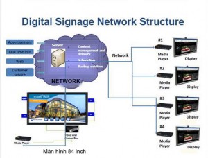 digital network